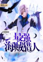 海贼之最强猎人
