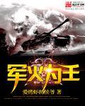 军火为王在线阅读