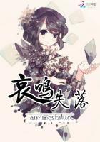 哀鸣什么什么成语