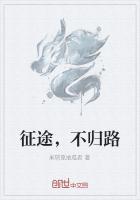 征途与归途分别什么意思