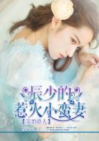 辰少的惹火小蛮妻