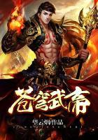 苍穹武帝等级划分