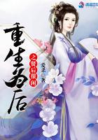 重生为后不贤 作者繁华歌尽