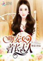 吻安首长大人 免费阅读叶一宁