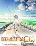 宠物小精灵 之
