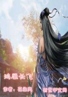 鸿雁长飞光不度的意思