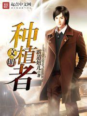 文明7种子怎么用