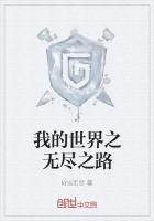 我的世界复仇骑士