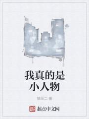 我真的是小人物作文