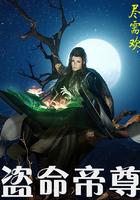 盗命全集