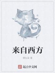 来自西方的英文