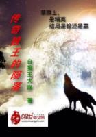 狼王传奇