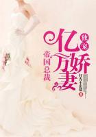 帝国总裁独宠宝贝前妻