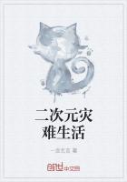 因二次元引发的惨案