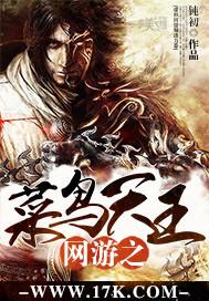 网游之菜鸟玩家百科