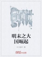 明末之大国崛起TXT
