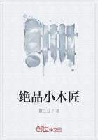 绝品木匠免费阅读