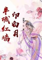半城风月什么故事