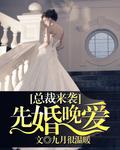 总裁的先婚后爱全文免费阅读