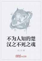 不为人知的楚汉之不死之魂是什么