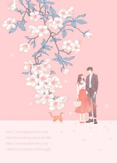 婚浅情深前夫请滚远点大结局