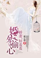 婚外偷心娇妻