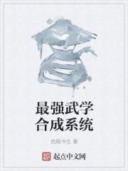 最强系统武功等级划分