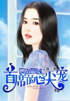 燃情秘爱总裁的头号新宠