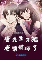 唐先生又把老婆惯坏了免费阅读