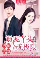 男神溺宠小娇妻