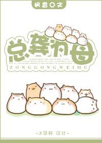 总龚为母 百度盘