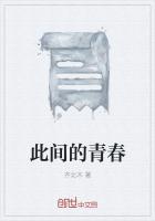 此间的少年歌词是什么意思