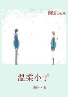 温柔小子上中下三册