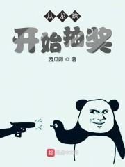 从龙珠开始收女