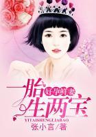 好孕鲜妻一胎生两宝 张小言