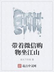 带着微信购物坐天下