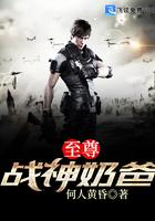 至尊战神奶爸林布衣