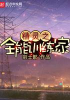 精灵之全能训练家TXT资源