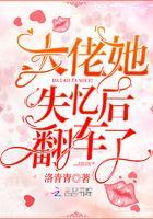 大佬她失忆后翻车了 百度