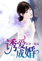 傅先生宠妻无度电视剧