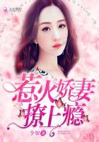 撩上瘾全文阅读