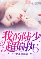 陆少超宠我