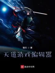 天道编辑器