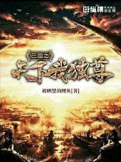 三国之天下至尊