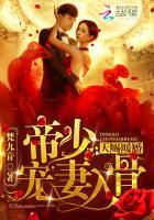 天赐暖婚帝少宠妻入骨