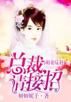 萌妻高能总裁请接招免费阅读