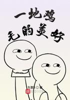 一地鸡毛的美好完整
