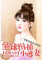 全球缉捕小萌妻