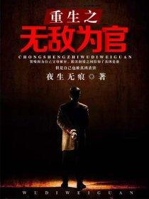 重生之无敌官场txt