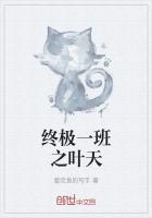 终极一班之叶斋